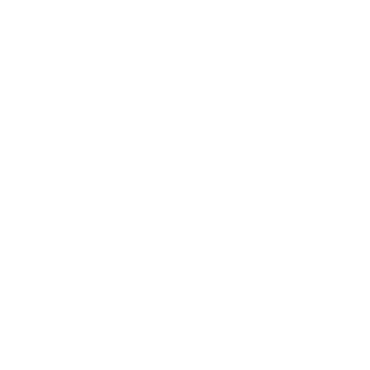 Briefing Icon