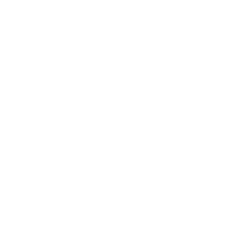 Vertrag Icon