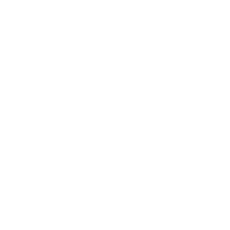 Design Icon