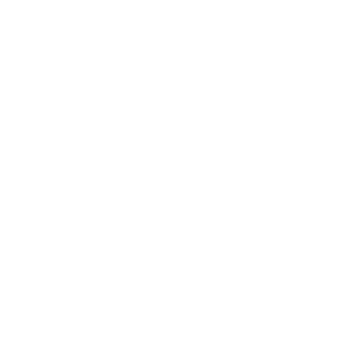 Verpackung Icon
